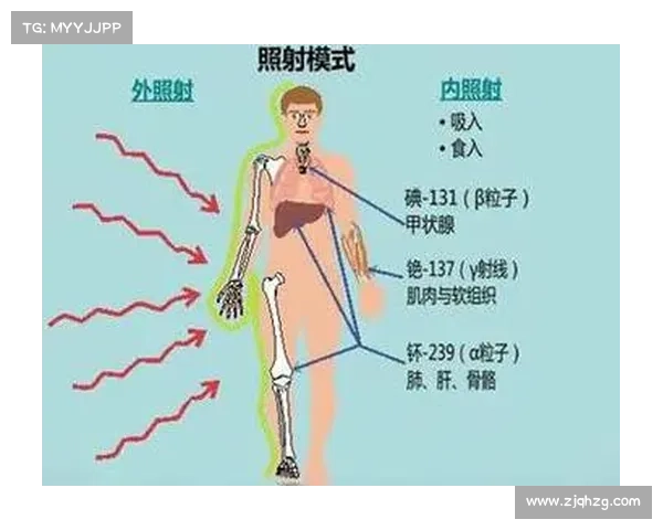 降低辐射伤害,科学有效的方法 降低辐射伤害,科学有效的方法